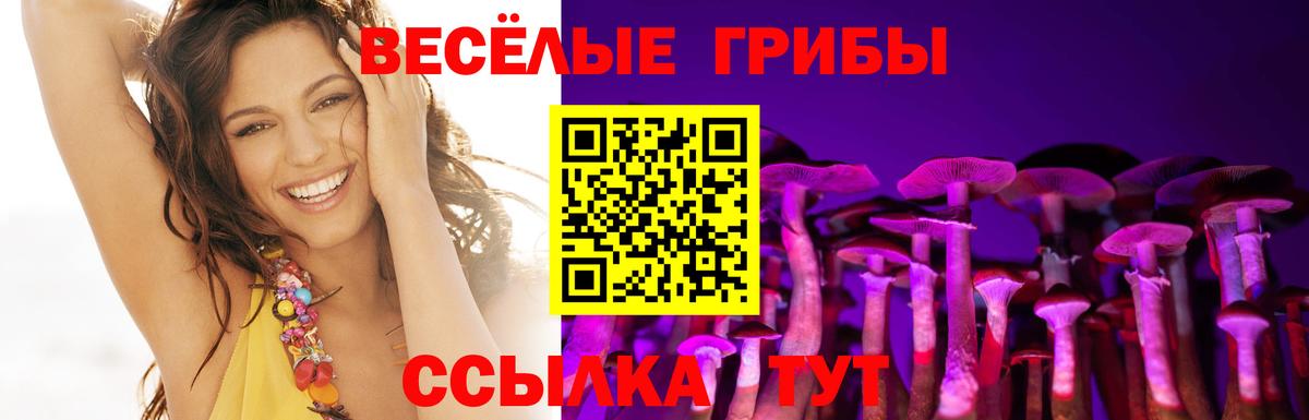 Псилоцибиновые грибы мицелий  Вход с VPN  Галлюциногенные грибы мухоморы  Малоярославец 